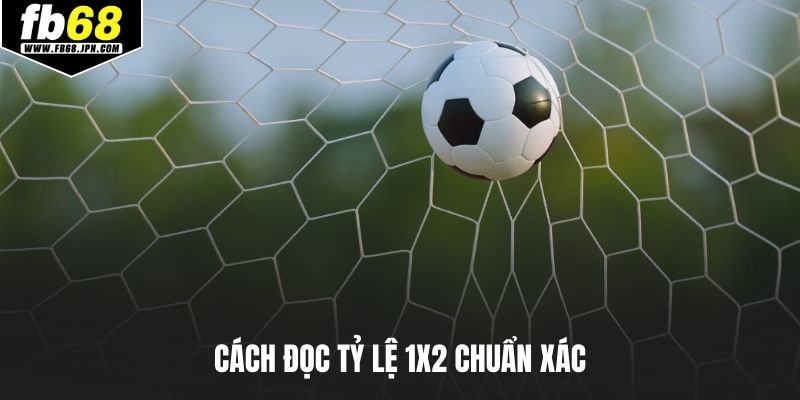 Cách đọc tỷ lệ 1X2 chuẩn xác