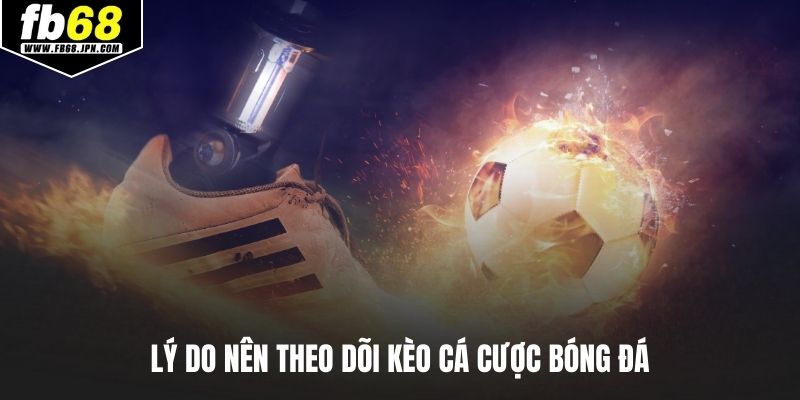 Lý do nên theo dõi kèo cá cược bóng đá