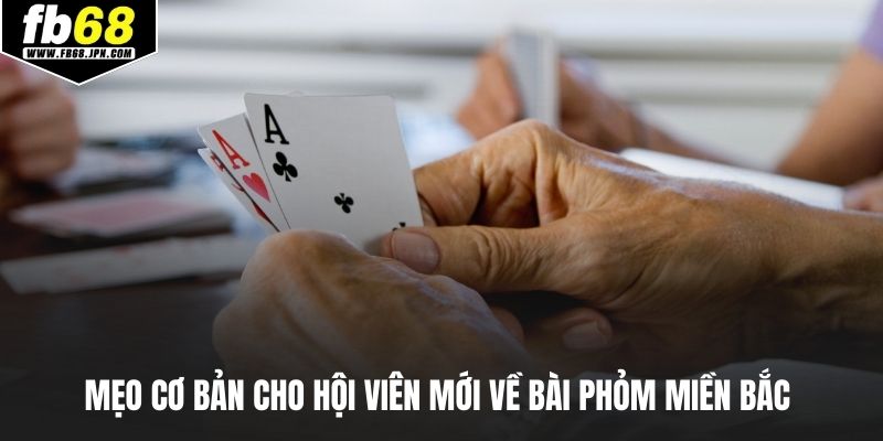 Mẹo cơ bản cho hội viên mới về bài phỏm miền bắc