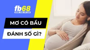 Nằm mơ thấy mình có bầu đánh số mấy
