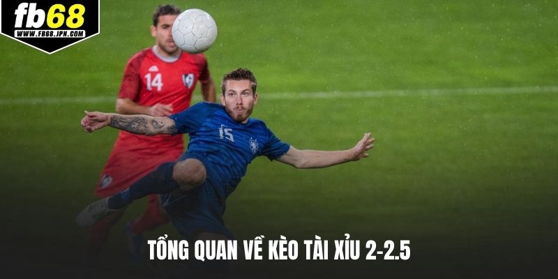 Tổng quan về kèo tài xỉu 2-2.5